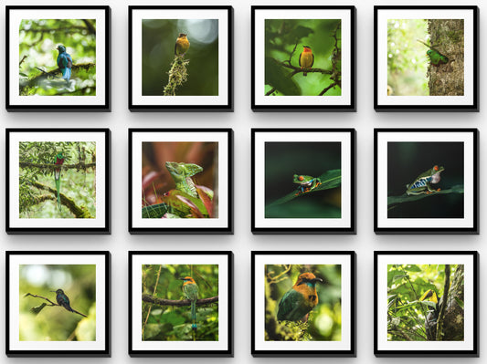 Mosaic Wall Art: The Beauty of Nature in Costa Rica