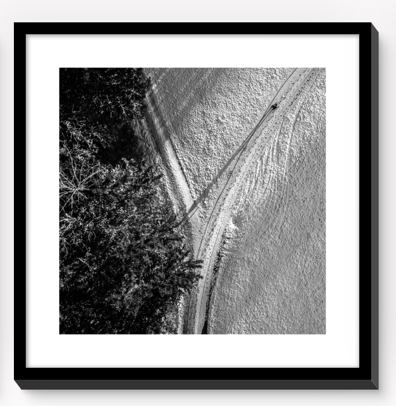 Mosaic Wall Art: Tree Tops in Winter (Aerial photography, black/white)