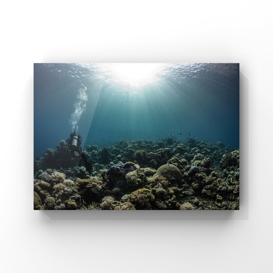Fineart print: Deep Calm: The Reef's Quiet Elegance