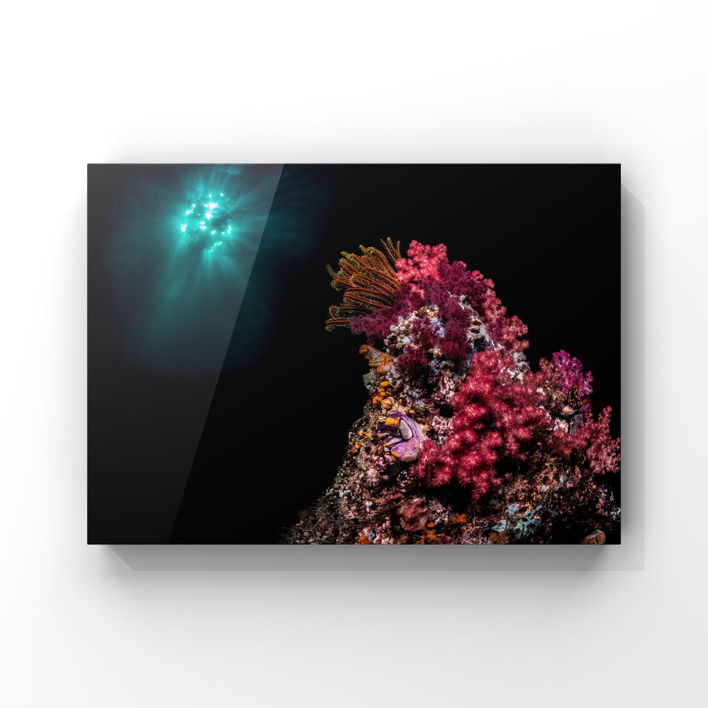 Fine art print: Mysteries of the Deep - Vibrant Colors Beyond Imagination