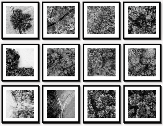 Mosaic Wall Art: Tree Tops in Winter (Aerial photography, black/white)